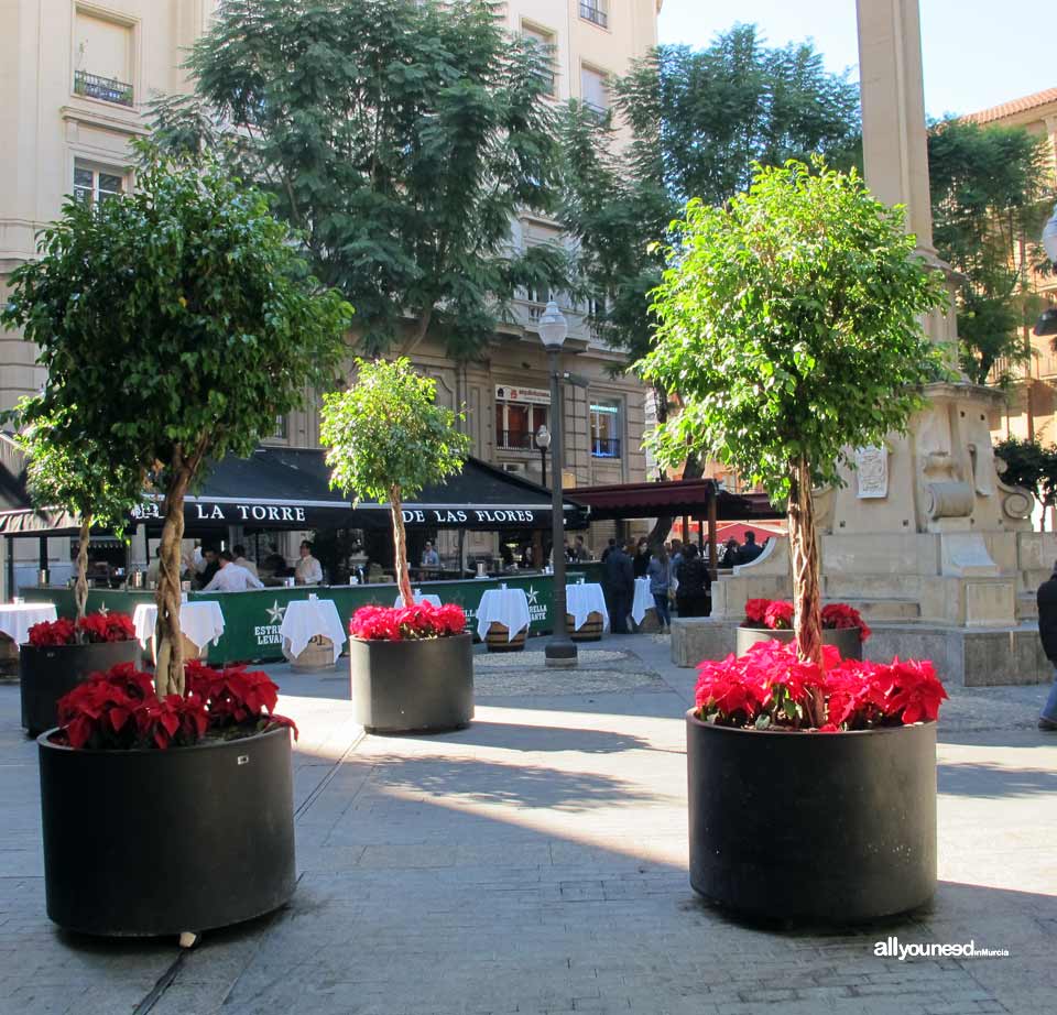 Plaza de Santa Catalina All You Need In Murcia